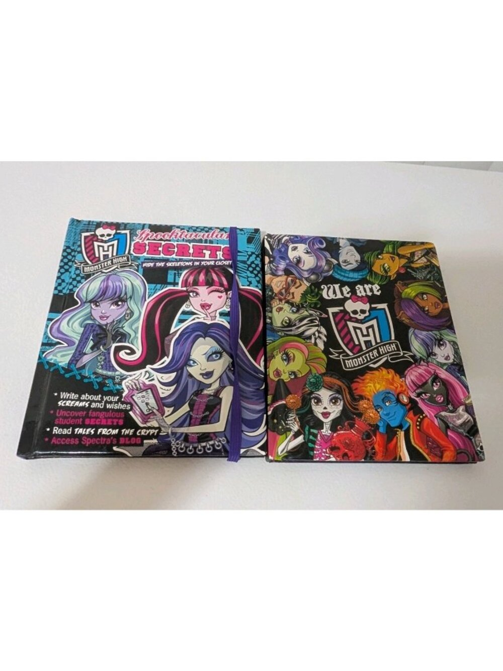 Monster High books activity: Spooktacular Secrets and We are Monster High  USED